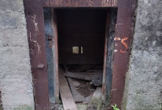 Puponga Coal Mine Walk景点图片