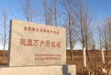 桃温万户府故城遗址景点图片