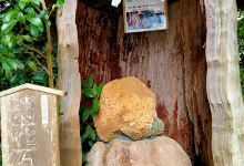 四社神社景点图片