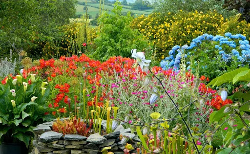 Douentza Garden