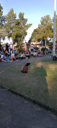 Praça da Colonização Menonita-库里提巴