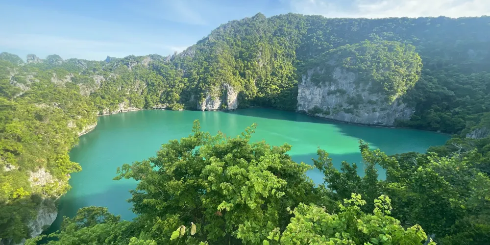 永安旅遊