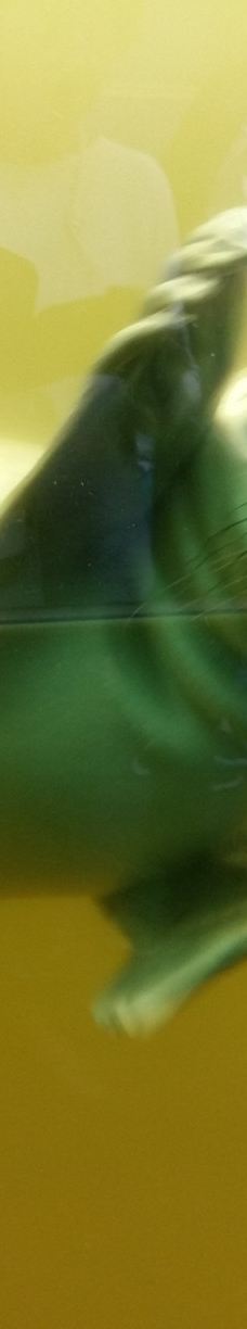 Seehundstation und Waloseum-诺德代希