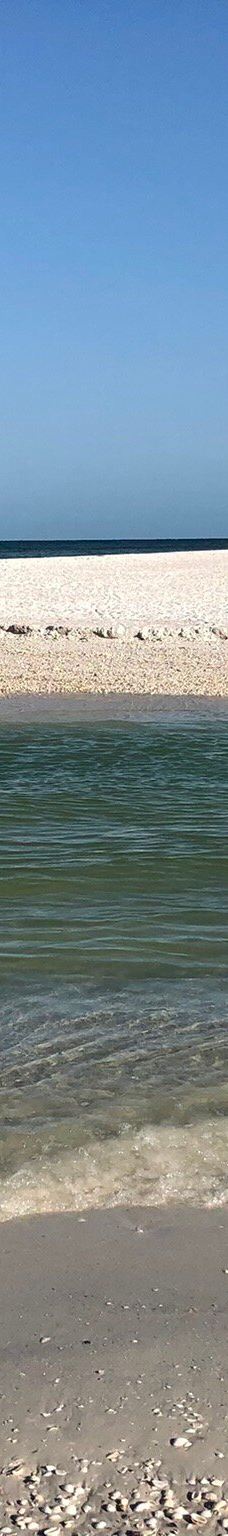 Tigertail Beach-马可岛