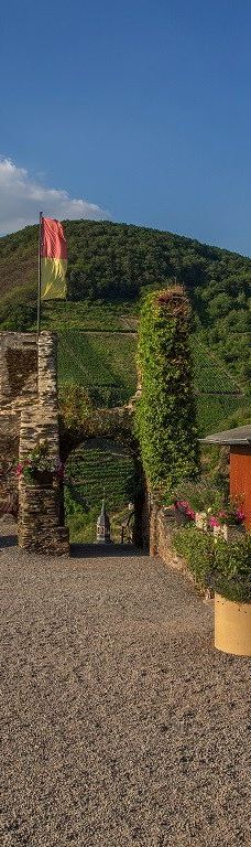 Metternich Castle-拜尔施泰因