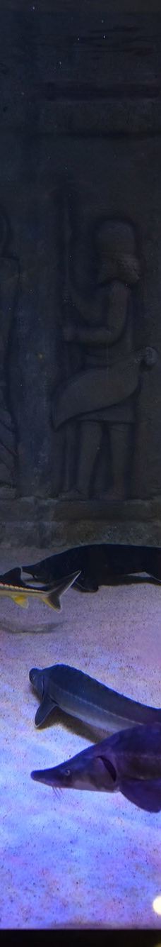 ViaSea水族馆-伊斯坦布尔