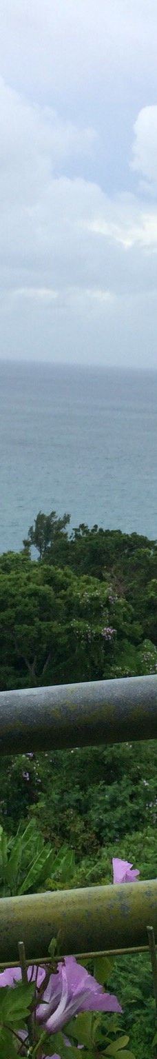 琉宫城蝴蝶园-本部町