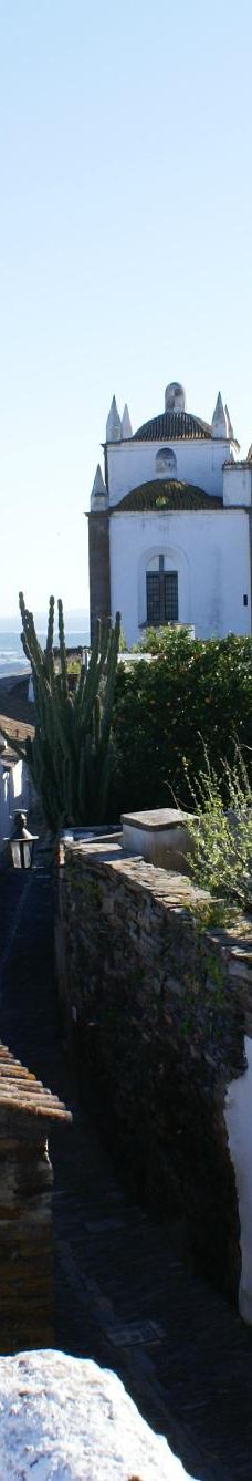 Monsaraz Castle-蒙萨拉什