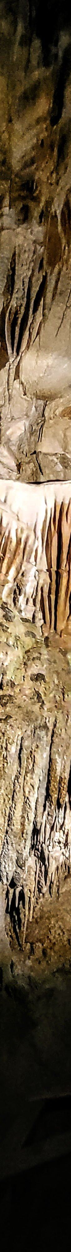 Ngarua Caves-Takaka Hill