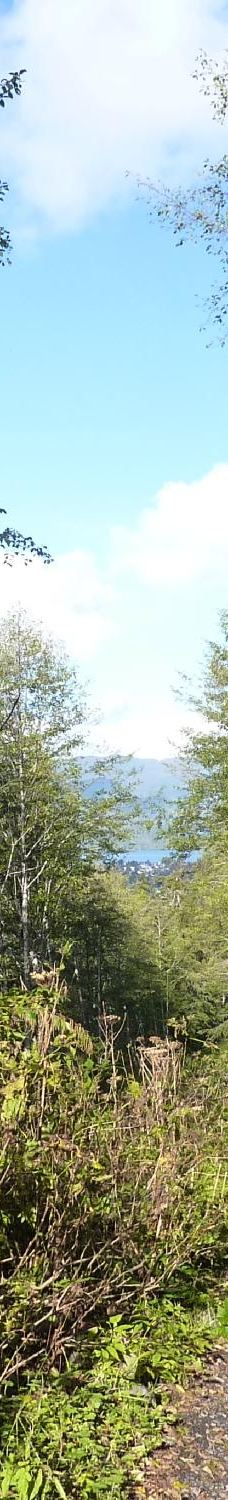 凯恩岛-鲁珀特王子港