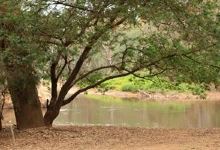River Road Reserve景点图片