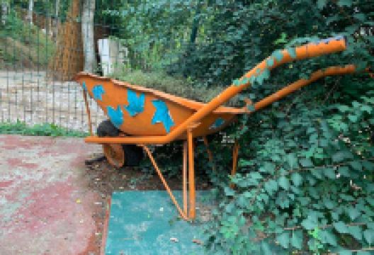 Dulovina Botanical Garden景点图片