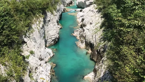 Napoleon Bridge