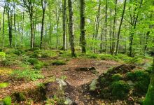 Åsnens National Park景点图片