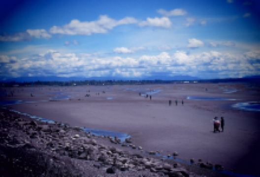 East Beach景点图片