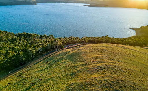 Lake Bullen Merri