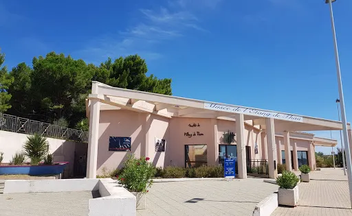 Le Musee de L'etang de Thau