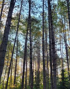 Mikisew Provincial Park-Machar