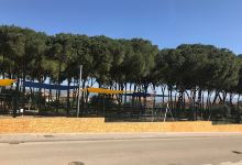 Los Pinos De Taralpe景点图片