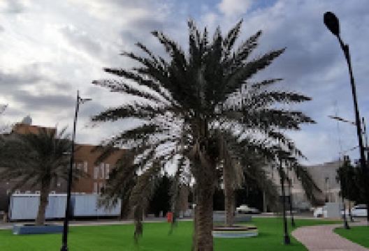 Awesome Garden景点图片