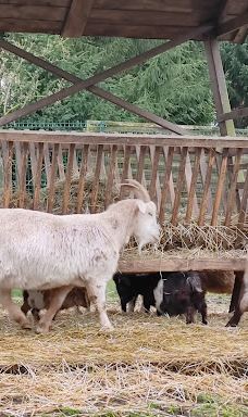 Freiberg Zoo-Mittelsachsen
