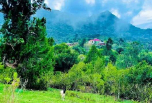 Buurta Daallo景点图片