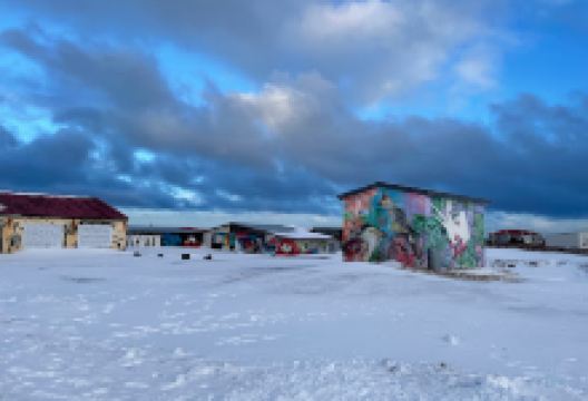 Mural sheep景点图片
