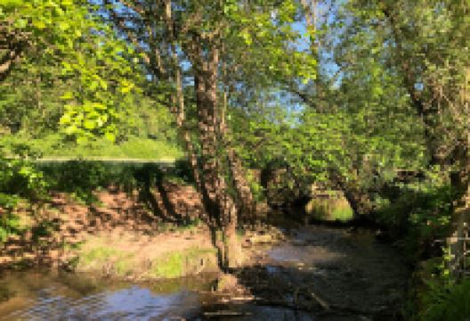 Steinerne Bogenbrücke B景点图片