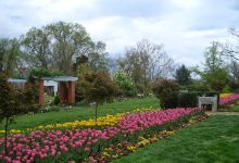 American Horticultural Society景点图片