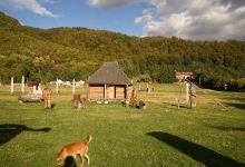 Parcul de sculptura (parcul dacic)景点图片