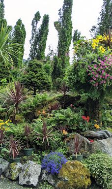 Glacier Gardens Rainforest Adventure-朱诺