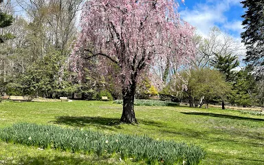 J. A. McFaul Environmental Center
