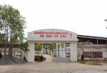 Nghĩa Trang Họ Đạo Công Giáo景点图片