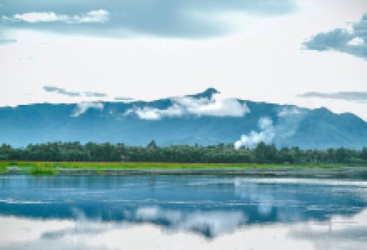 Vườn Hoa - Cây Kiểng Tư Cao景点图片