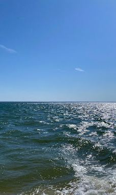 Point Lookout State Park-圣玛丽县