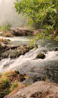 Husum Falls-克利基塔特县