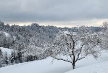Sternenberg Bergstation Skilift景点图片