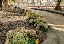 Parque Vecinal景点图片