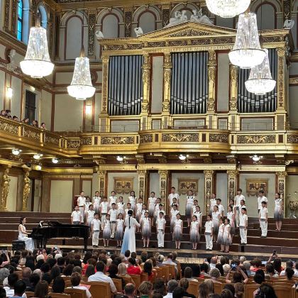 奥地利维也纳美泉宫+维也纳金色大厅+捷克布拉格布拉格城堡11日10晚私家团