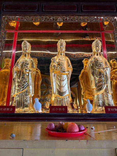 莲花山景点图片 21