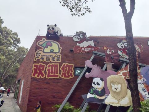 广州动物园景点图片 9