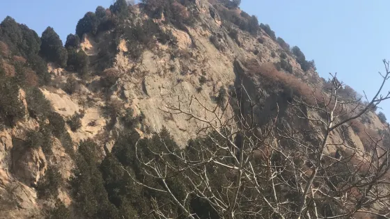 石家灘村