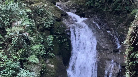 飛珠濺玉