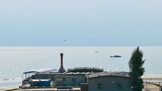 蓮頭海角