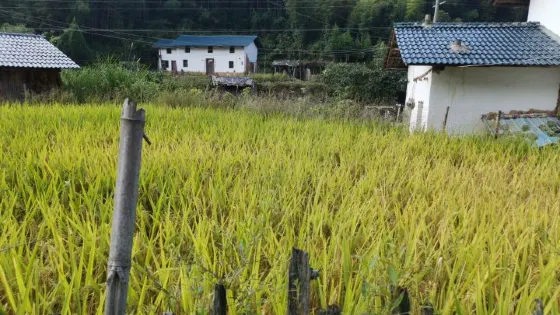 城坑文公祠堂