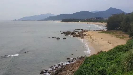 禮紀青皮林自然保護區