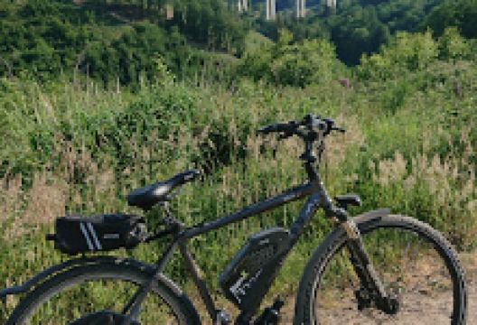 Bühler Höhe景点图片