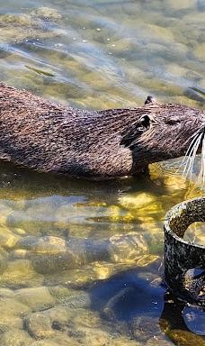 Hod HaSharon Park-Petach Tikva