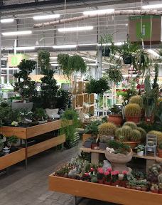 Dehner Garten-Center-开姆尼茨