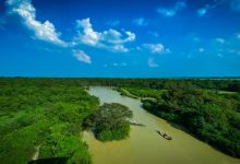 Ratargul Swamp Forest景点图片